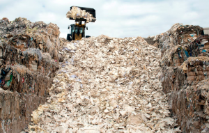 Papel y Cartón Reciclado en Planta